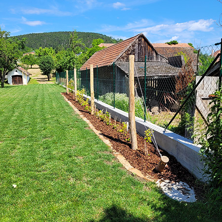 Gartengestaltung